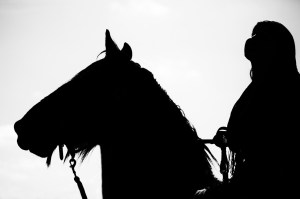 Pferd und Reiter schwarze Silhouette