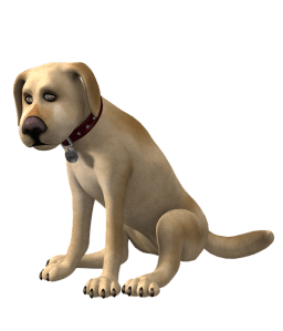 Hund, sitzend, Blog, Substanz zu Galgenhumor